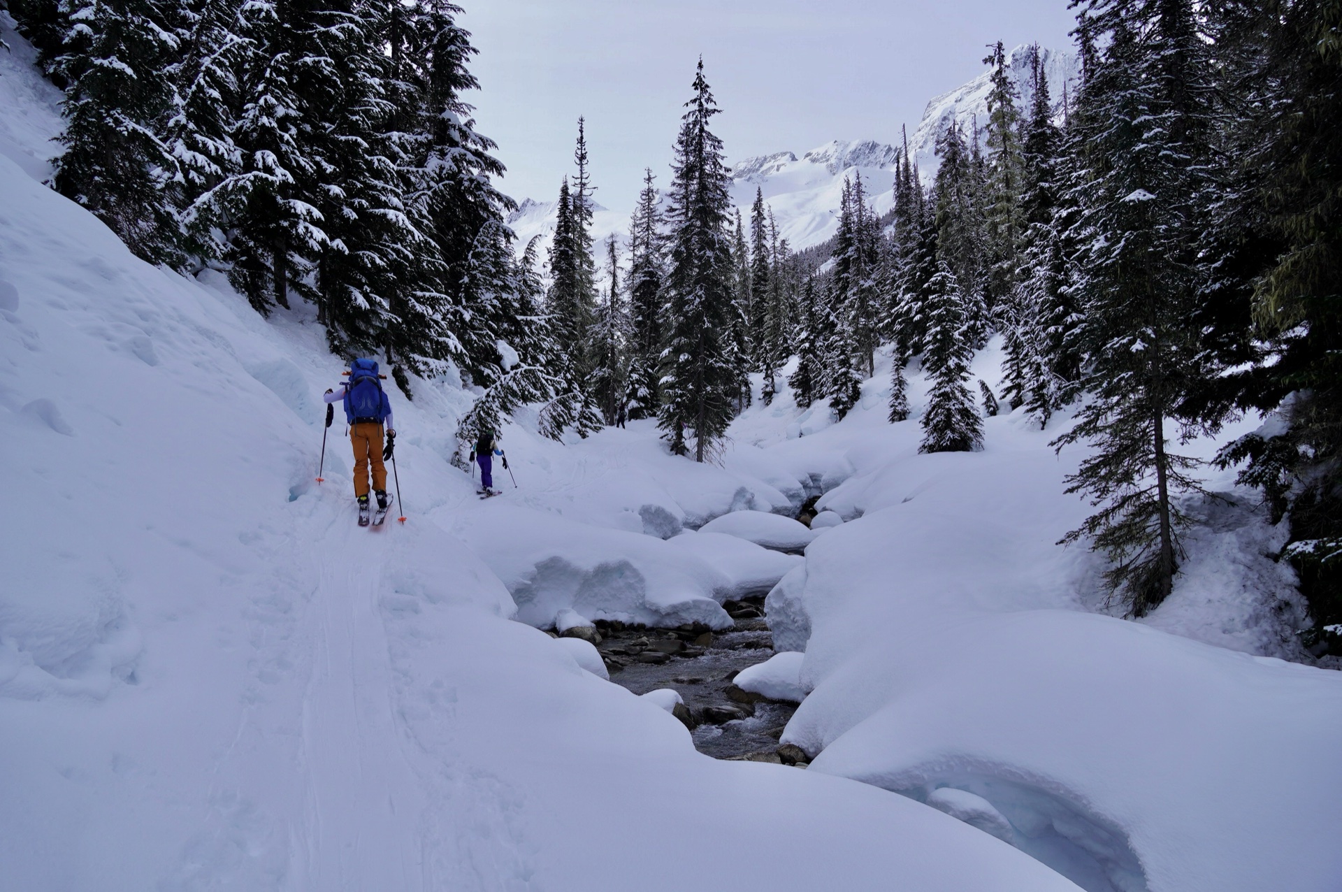 asulkan_rogers_pass - 1.jpg